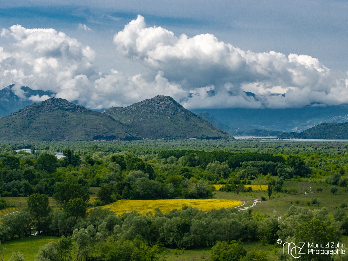 Blick von der Burg Žabljak in die Seeauen des Skutari